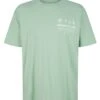 TOM TAILOR Denim Mit Print - T-Shirt Print - Placid Green
