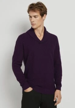 Tom Tailor Trui - Navy Bordeux Knitted Structure