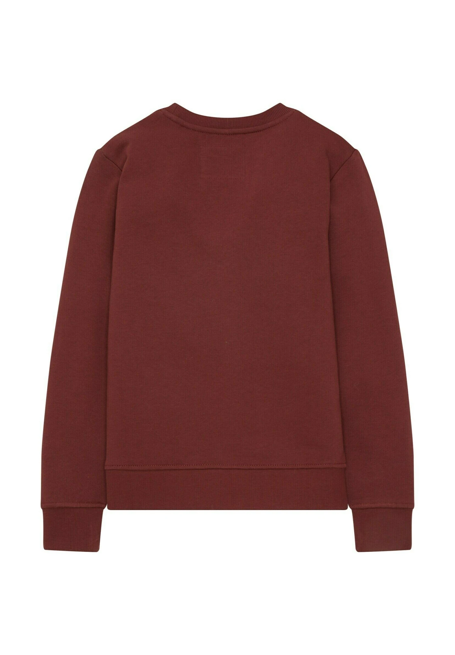 Tom Tailor Mit Print - Sweater - Soft Burnt Red 2 Tom Tailor Mit Print - Sweater - Soft Burnt Red - Afbeelding 2