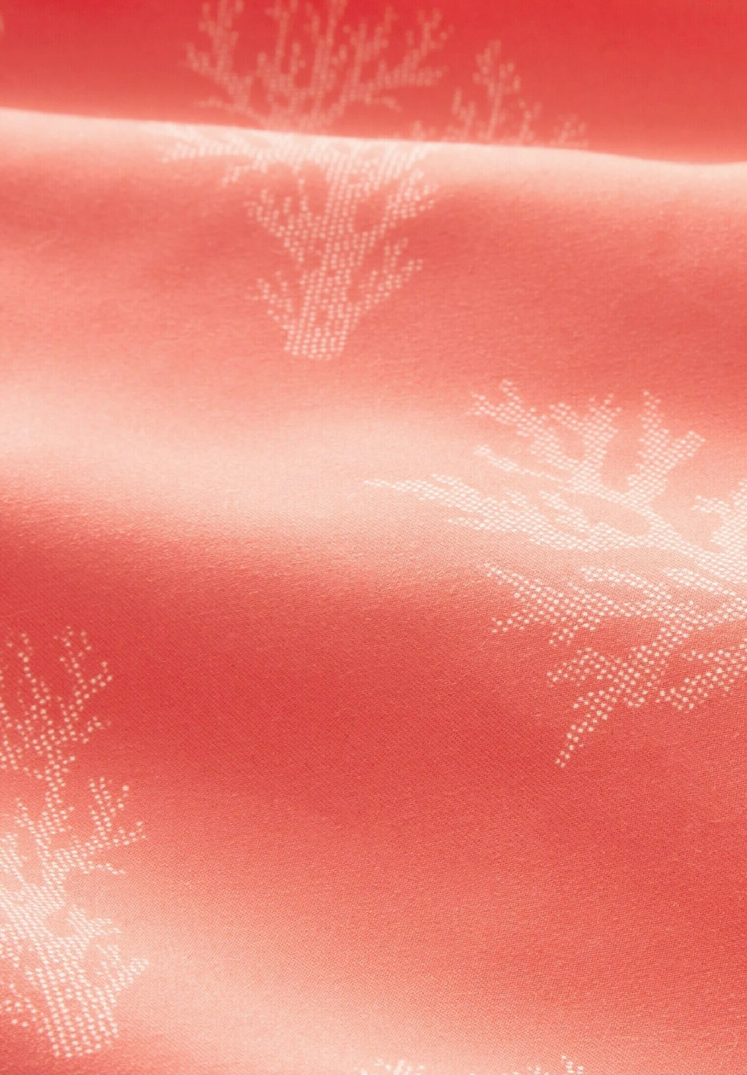 TOM TAILOR Denim Mit Allover-Print - Zwemshorts - Red White Big Coral Print 7 TOM TAILOR Denim Mit Allover-Print - Zwemshorts - Red White Big Coral Print - Afbeelding 7