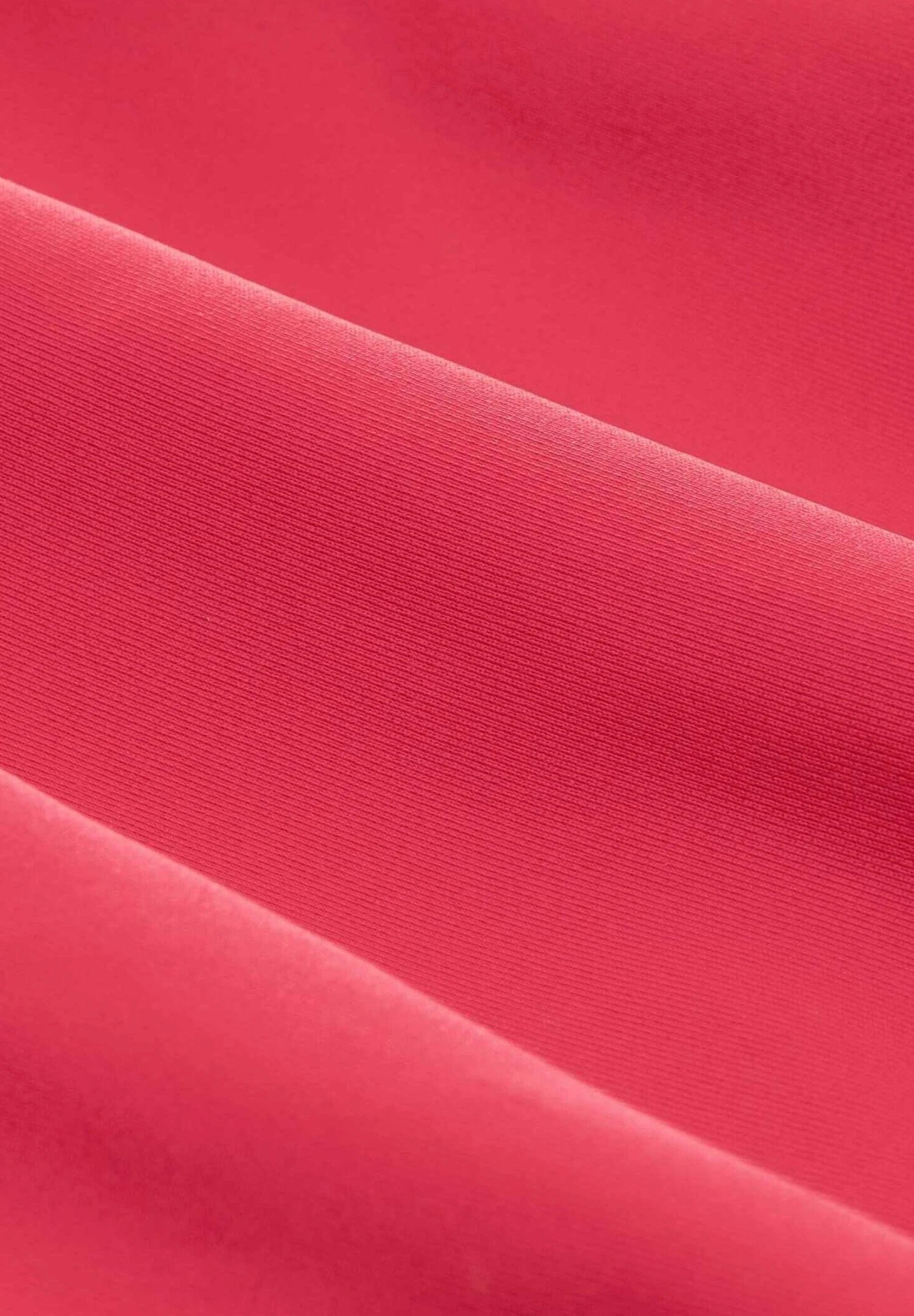 Tom Tailor Bikinibroekje - Berry 5 Tom Tailor Bikinibroekje - Berry - Afbeelding 5