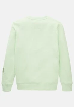 Tom Tailor Mit Print - Sweater - Fresh Apple Lime Green 12 Tom Tailor Mit Print - Sweater - Fresh Apple Lime Green -Tom Tailor b1f767515a0f42029cc9a95585cb8dbd