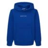 Tom Tailor Mit Logo - Hoodie - Shiny Royal Blue