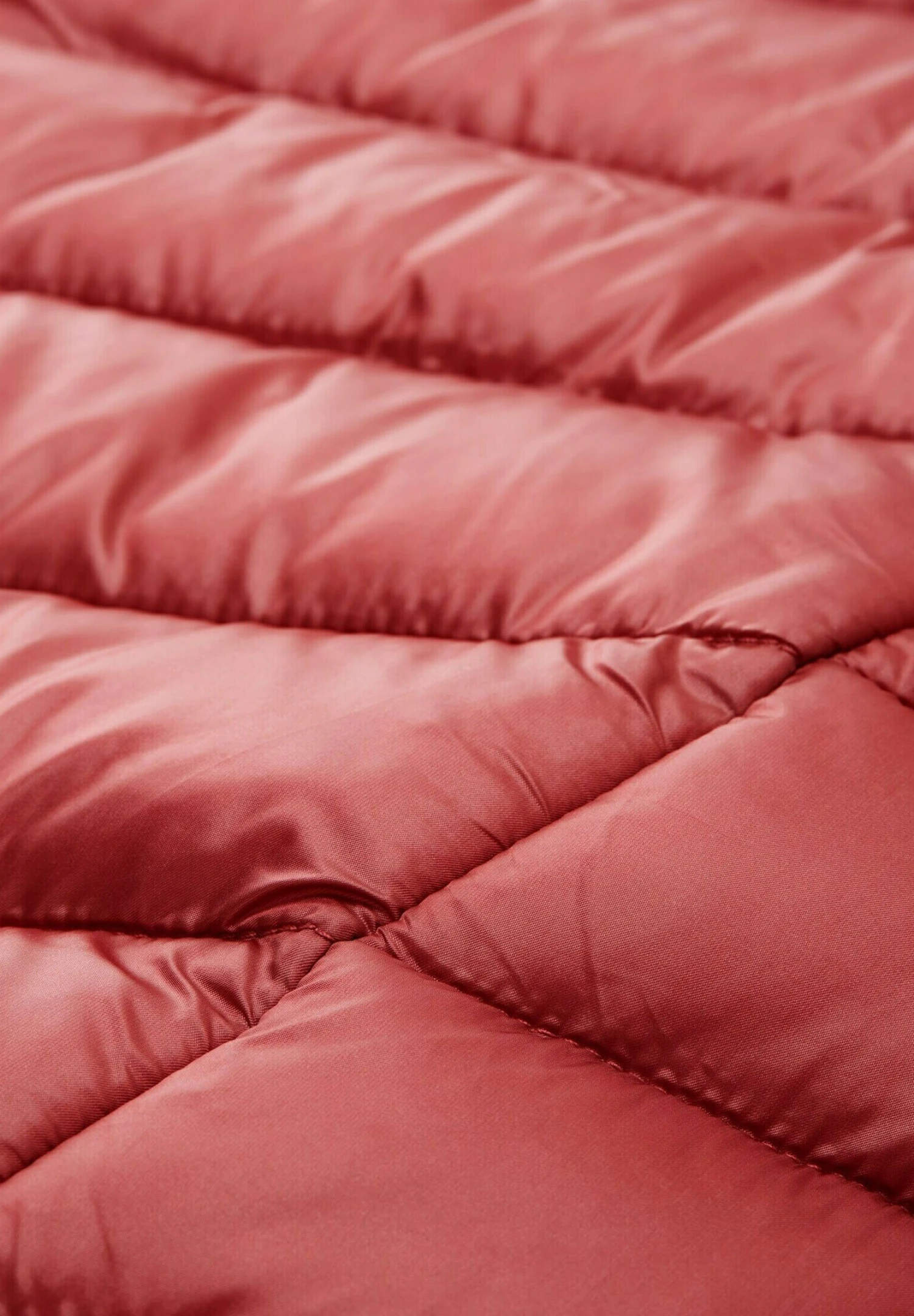 Tom Tailor Winterjas - Baroque Rose 7 Tom Tailor Winterjas - Baroque Rose - Afbeelding 7