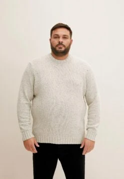 Tom Tailor Trui - Off White Fancy Structure