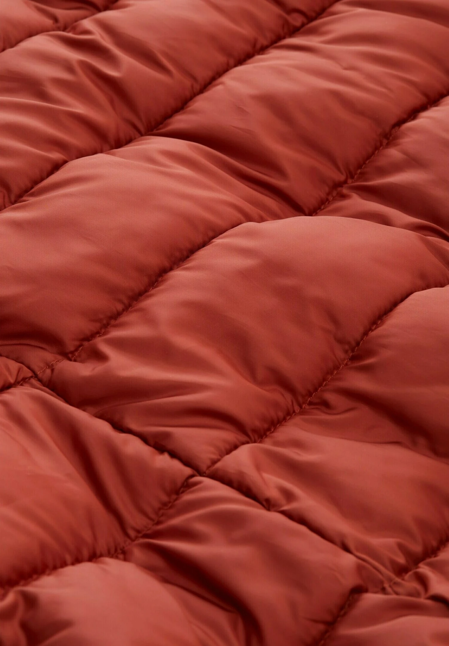 TOM TAILOR Denim Lightweight Puffer - Winterjas - DarkBrown 6 TOM TAILOR Denim Lightweight Puffer - Winterjas - DarkBrown - Afbeelding 6