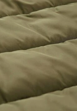 Tom Tailor Puffer Mit Kapuze - Winterjas - Tree Moss Green -Tom Tailor ed8d6ef5a89245739d0a008505a2862b