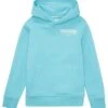 Tom Tailor Mit Fotoprint  - Hoodie - Light Dusty Blue