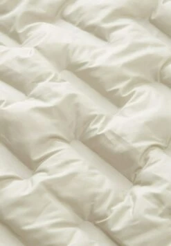 Tom Tailor Regular FitMit Steppungen - Jas - Beige Alfalfa -Tom Tailor ff752b9a491d47199ffb849d7b15915b